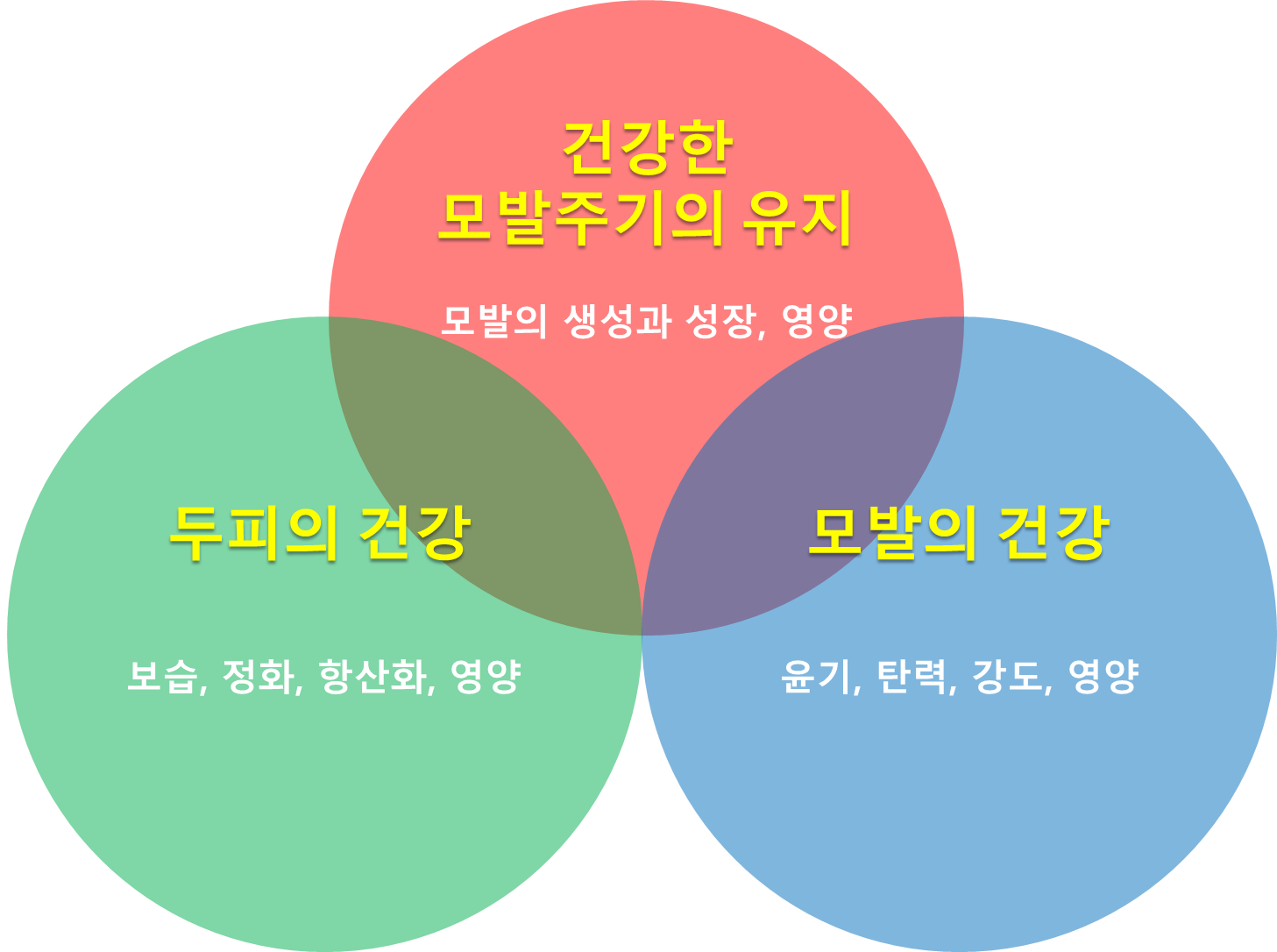 헤어케어의 3요소