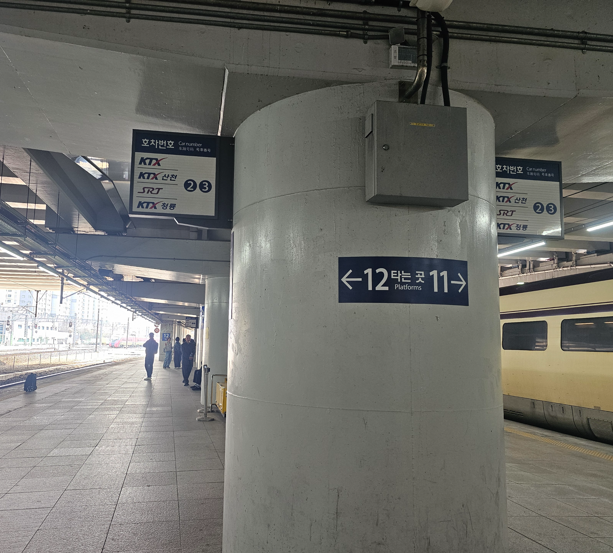 동대구역 srt 타는곳