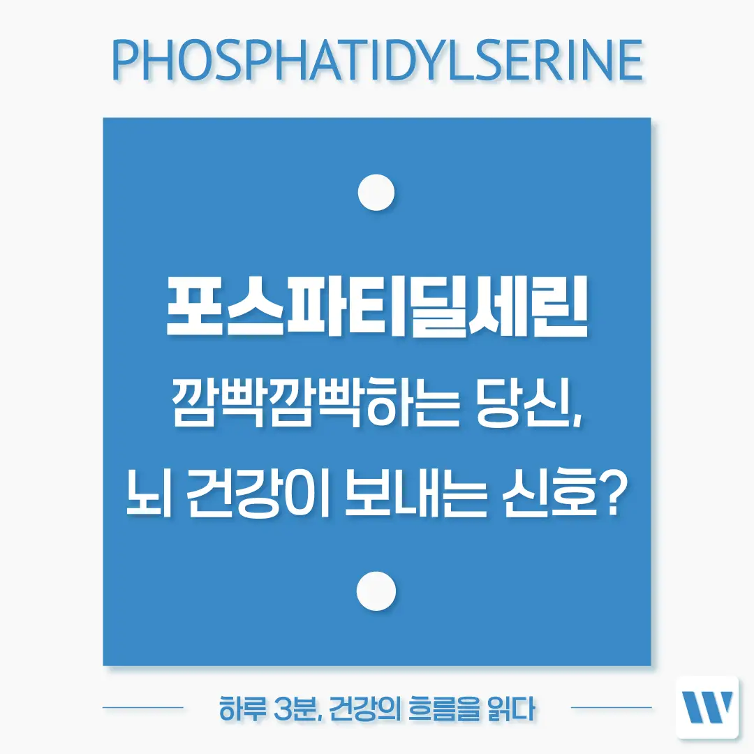 포스파티딜세린 효능 복용법 부작용 하루권장량 썸네일