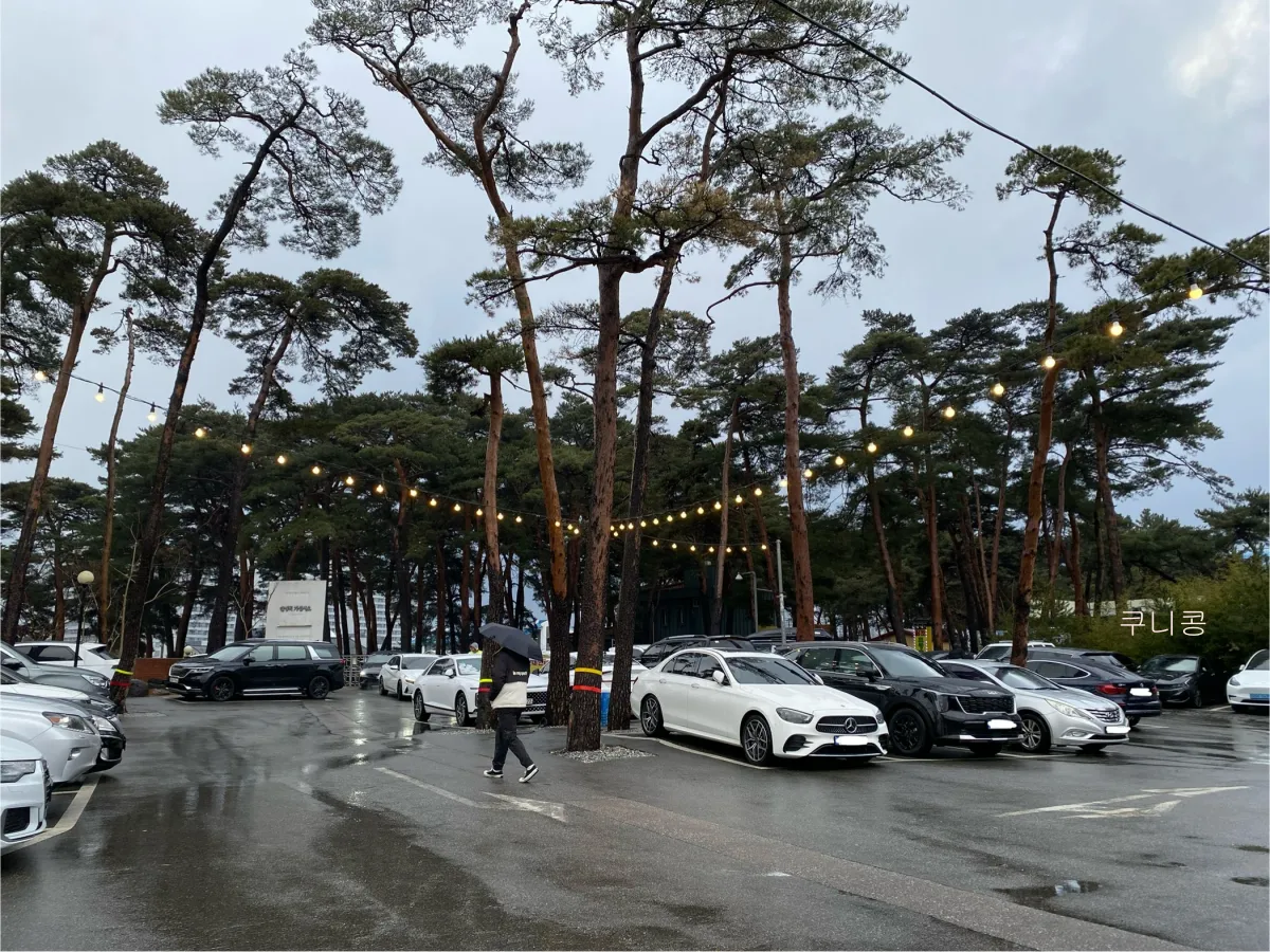 강릉-짬뽕순두부-맛집-동화가든-주말-웨이팅-시간-및-대기장소-정보