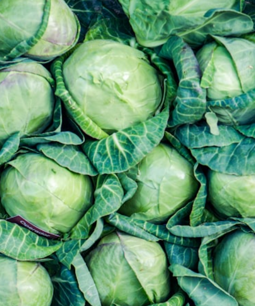 양배추 한 통으로 일주일 식단 꾸리기