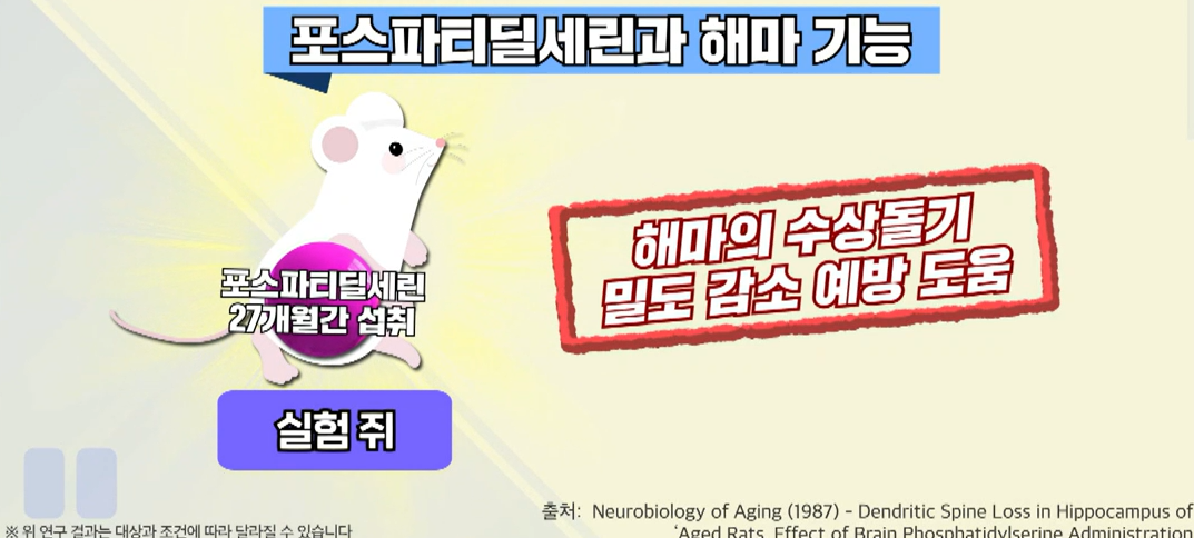 포스파티딜 세린 효능