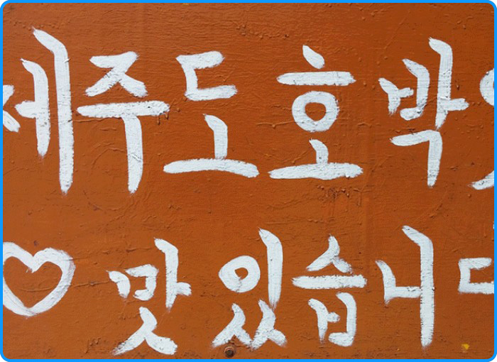 샘플