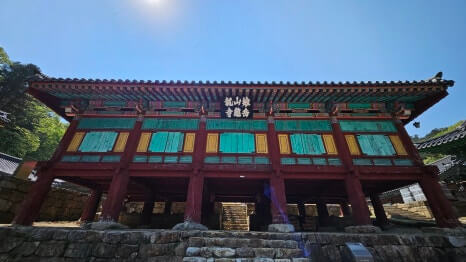 원주 구룡사 : 아홉 용의 전설과 황장목 숲길이 주는 휴식