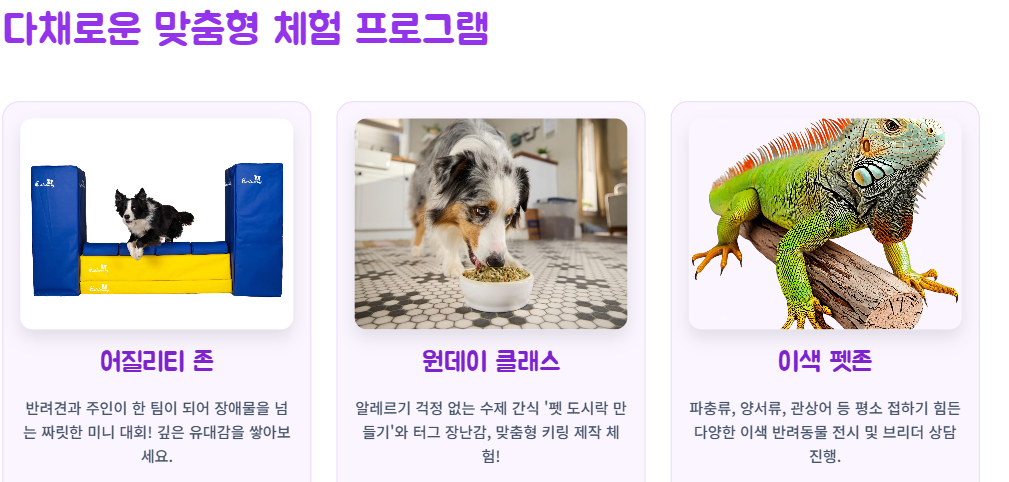 대한민국 펫캉스 구미코