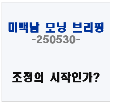 미백남 브리핑, 조정의 시작인가?