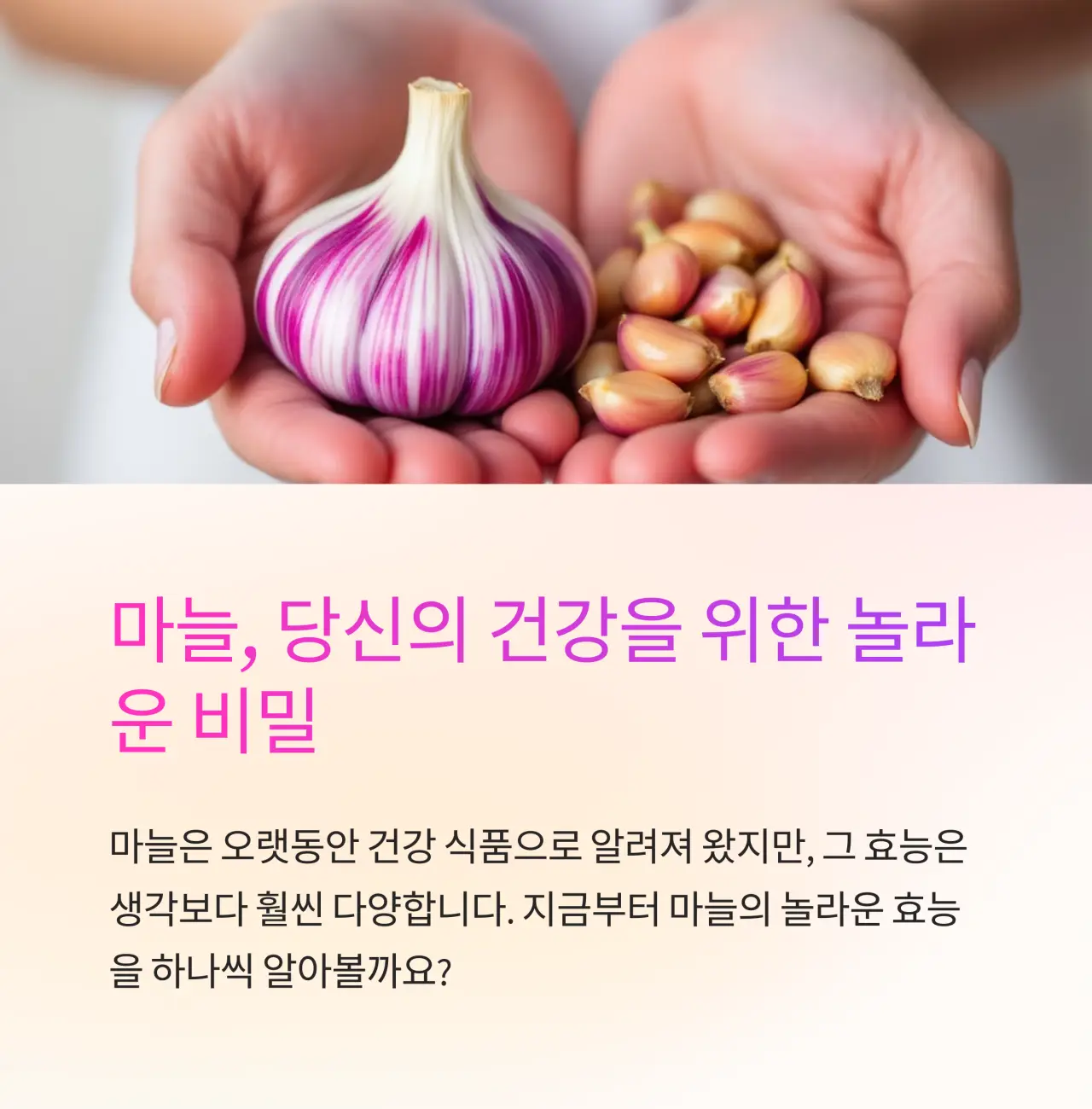 마늘의 효능 6가지, 건강과 활력의 열쇠