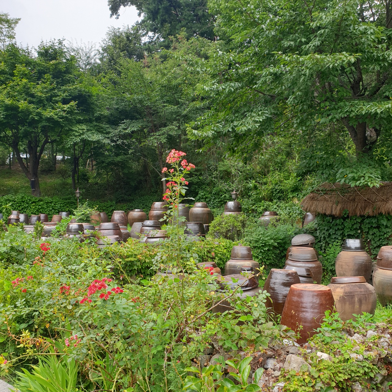 별내맛집, 남양주쌈밥