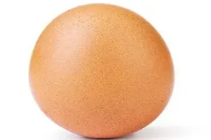 계란