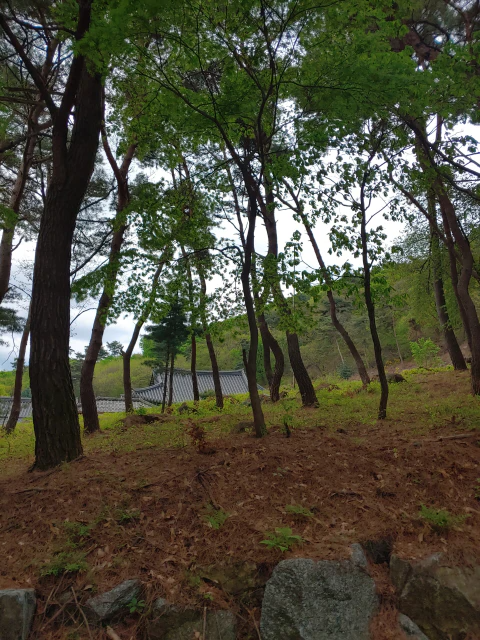 왕산사를-거쳐-왕방산-정상에-오르다