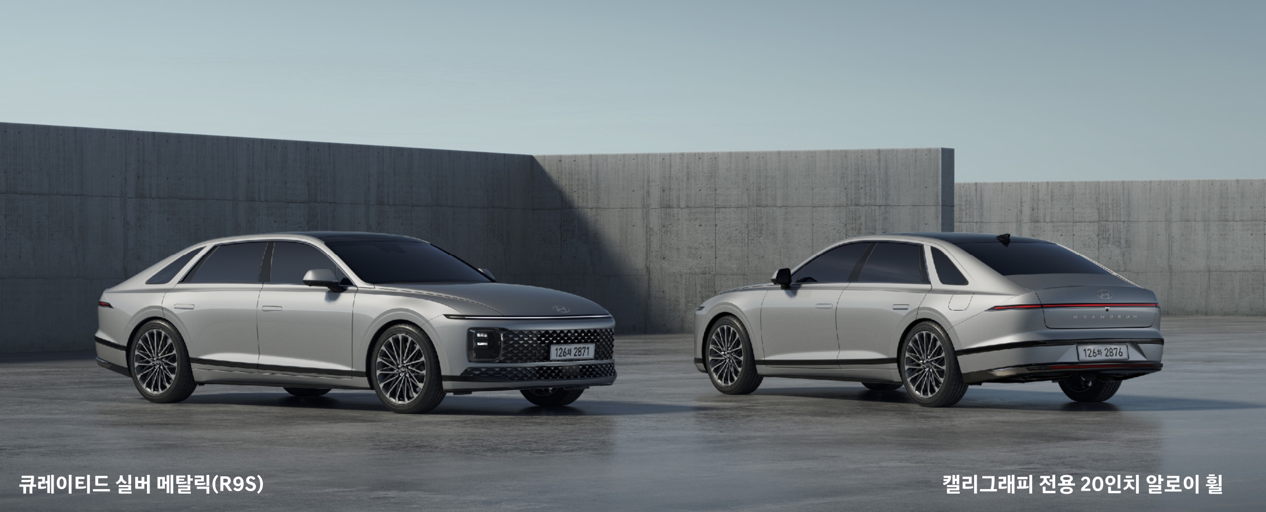 큐레이티드 실버 메탈릭(색상 코드 : R9S)