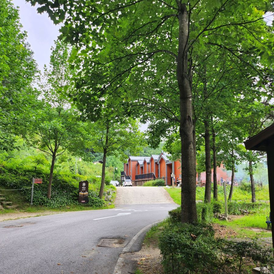 운악산자연휴양림