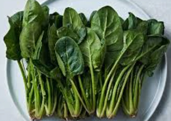 시금치 파종시기