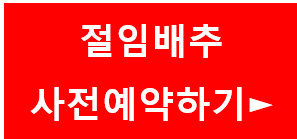 절임배추 사전예약하기