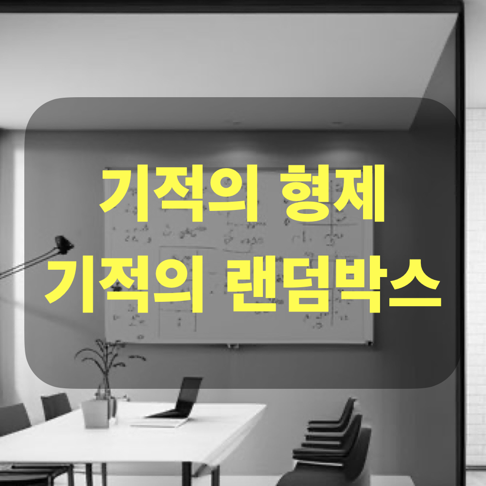 기적의형제_기적의랜덤박스