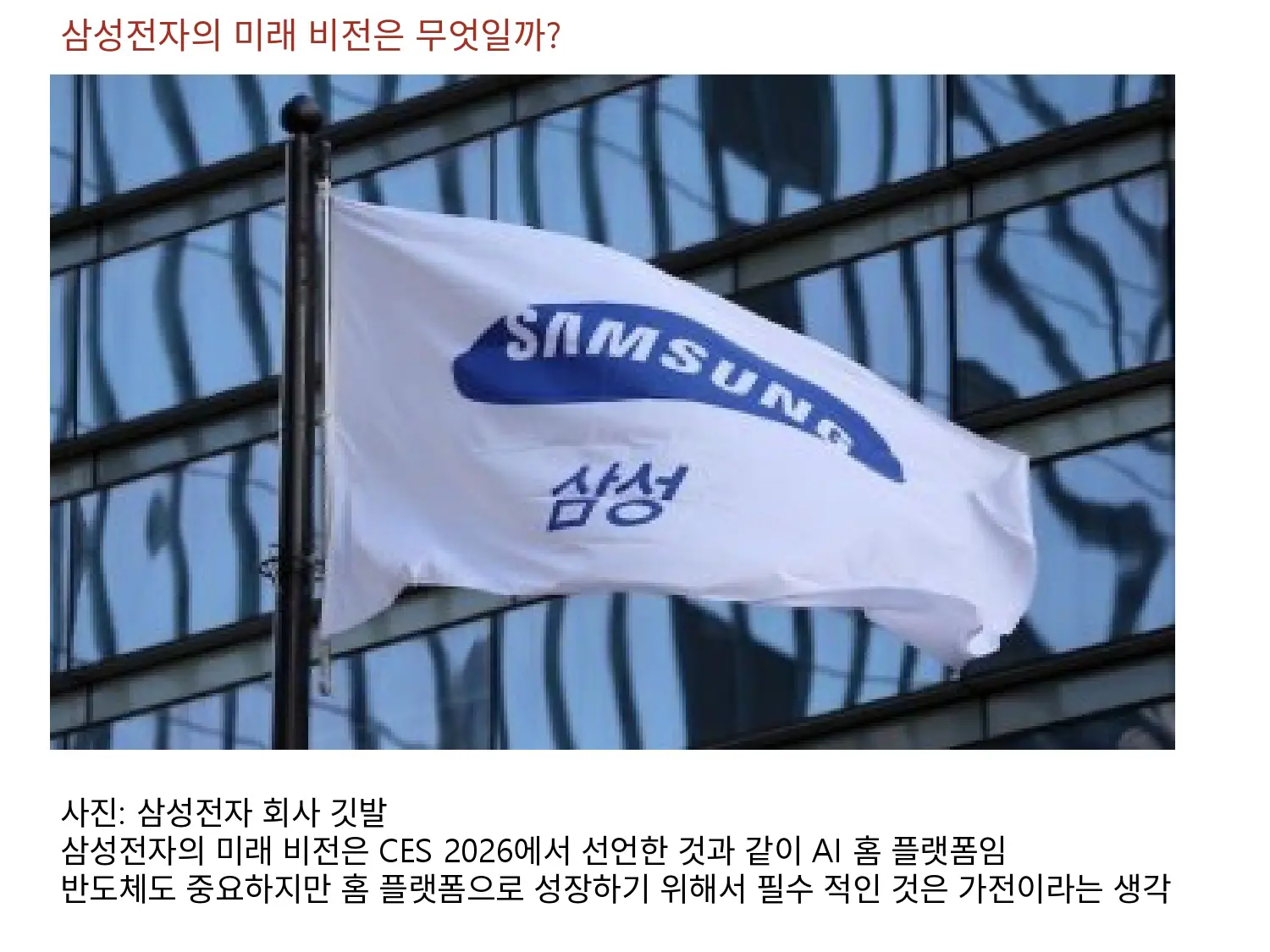 삼성전자의 미래 비전은?