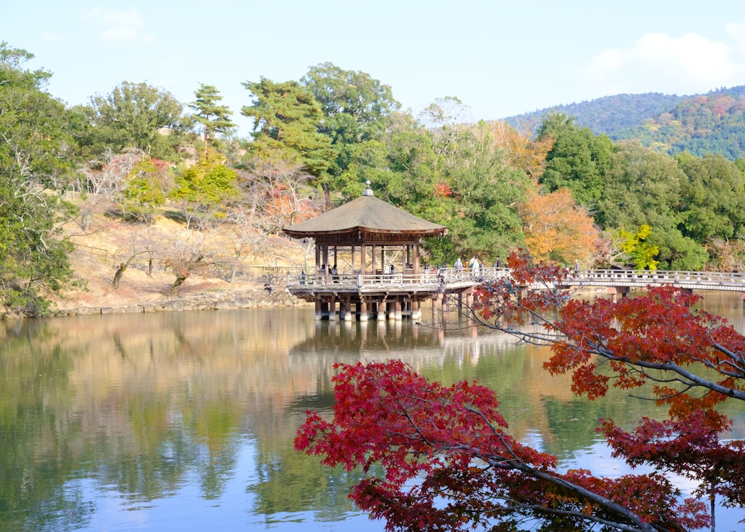 Travel — 추석 연휴 해외 여행의 핵심 행위와 주제를 가장 잘 나타내는 영어 명사입니다.