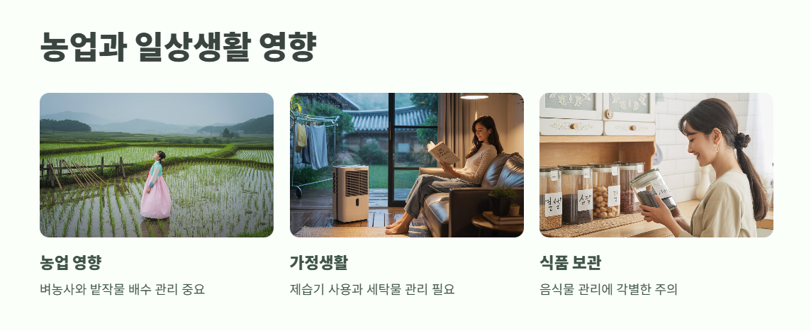 2025년 장마기간 6월 19일 시작 8