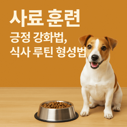 사료 한 알로 시작하는 반려견 훈련! 식사 루틴부터 행동 교육까지