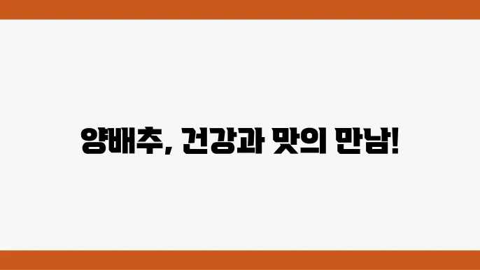 양배추 요리법의 요약
