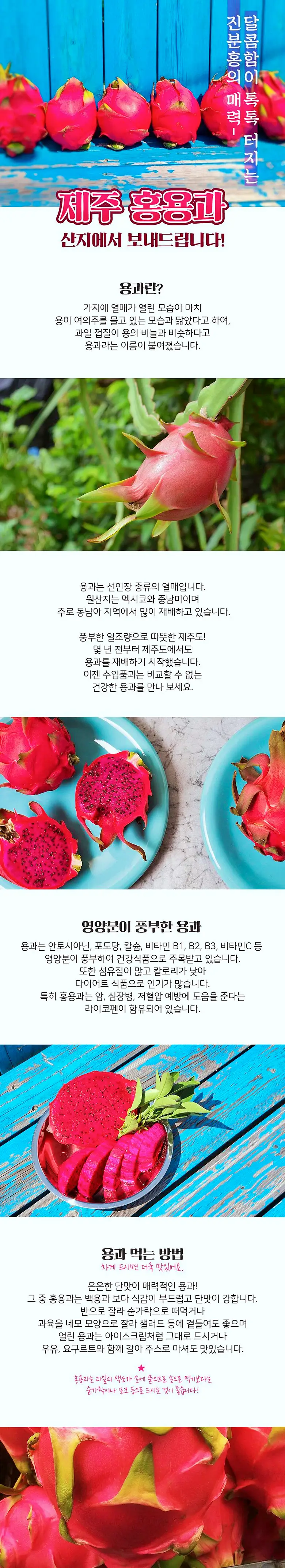 전남 함평 달콤한 용과 홍용과 파는 곳 전국 택배 온라인 전화 주문 추천
