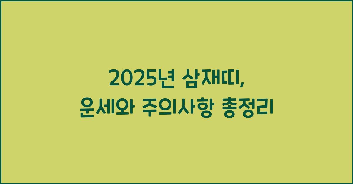 2025년 삼재띠