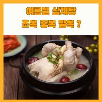 2025년 초복 중복 말복 날짜별 건강 관리법 및 보양식 정리_24