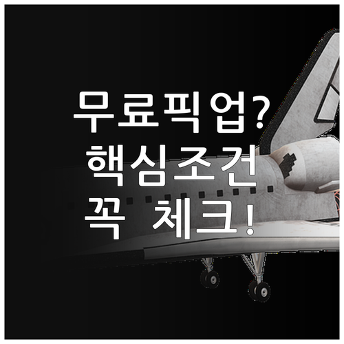 스키 여행 숙소 픽업 서비스 무료라도..