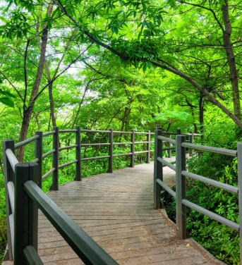 서울근교벚꽃명소