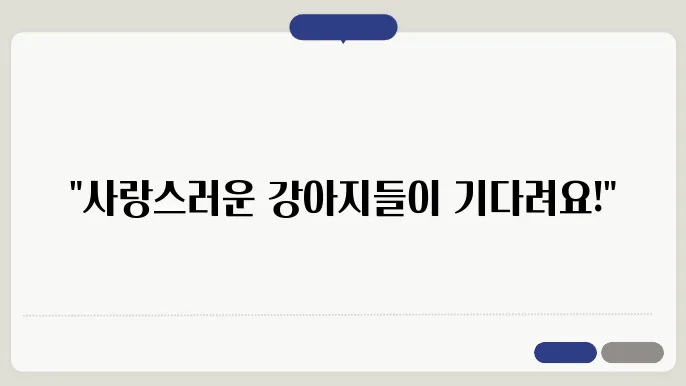 의왕강아지보호소 친구에게 소개받은곳