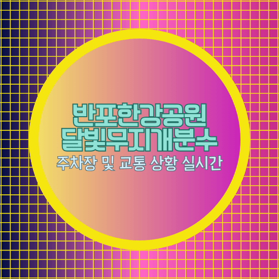 반포한강공원 달빛무지개분수 주차장 및 교통 상황 실시간 확인