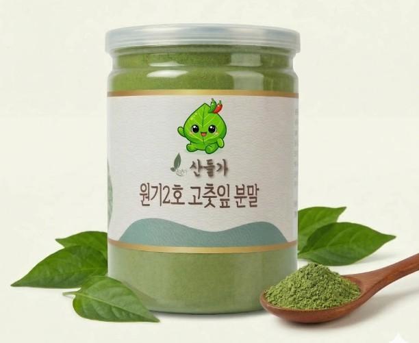 원기2호 고춧잎 효능