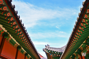 조선시대 왕 순서 14