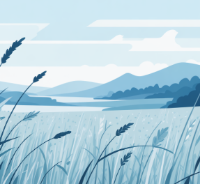 쯔쯔가무시 증상