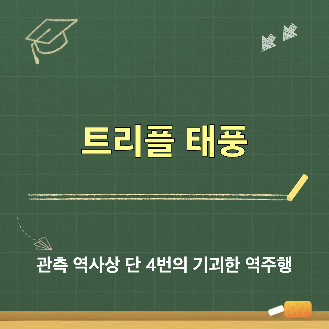 태풍경로_역주행