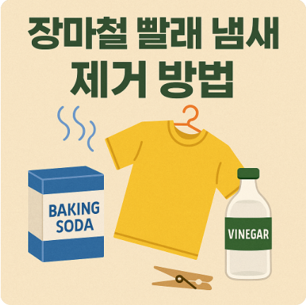 장마철 빨래 냄새 제거 방법