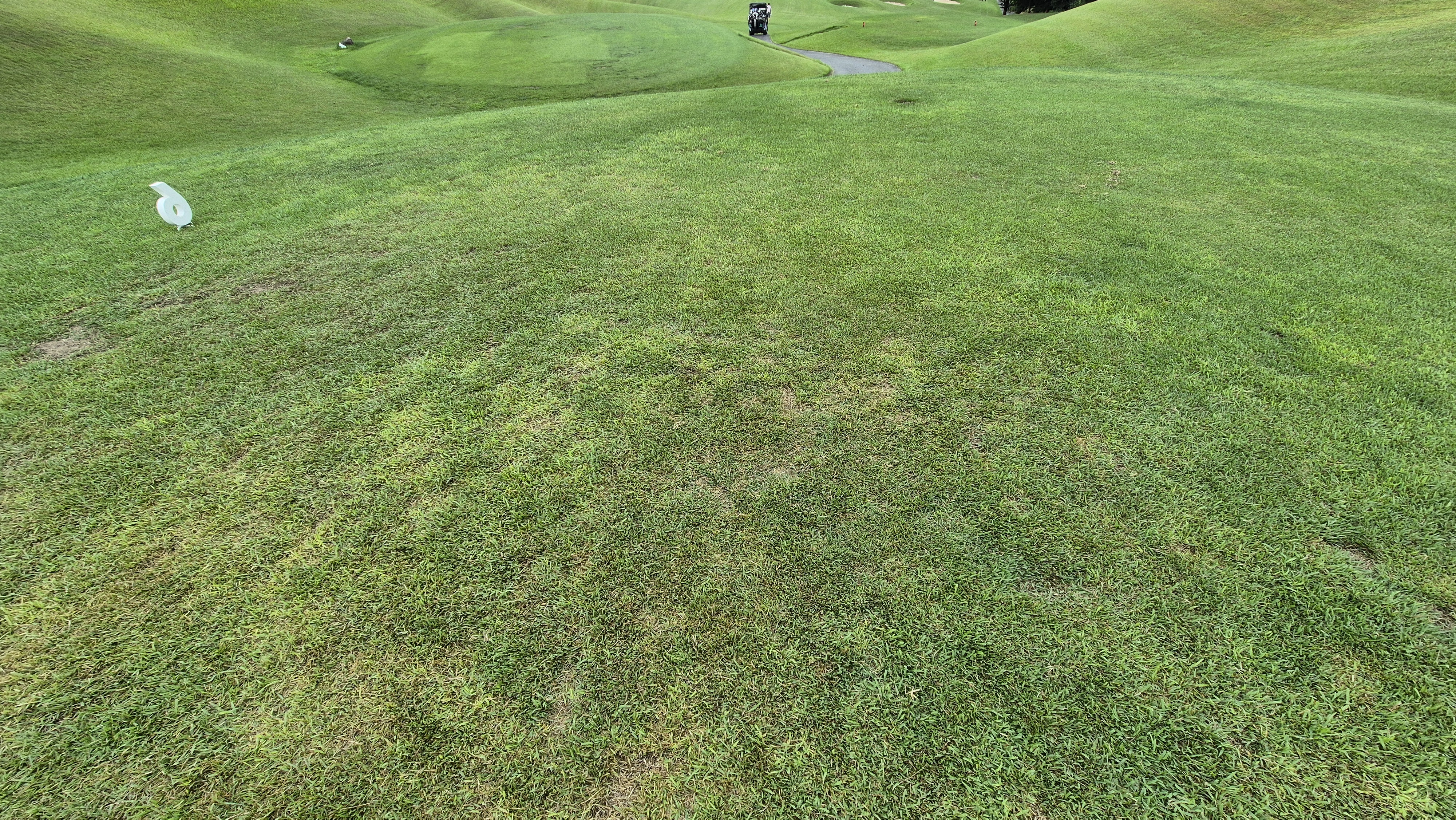 한림용인cc 다이아몬드-사파이어 코스 라운드 후기