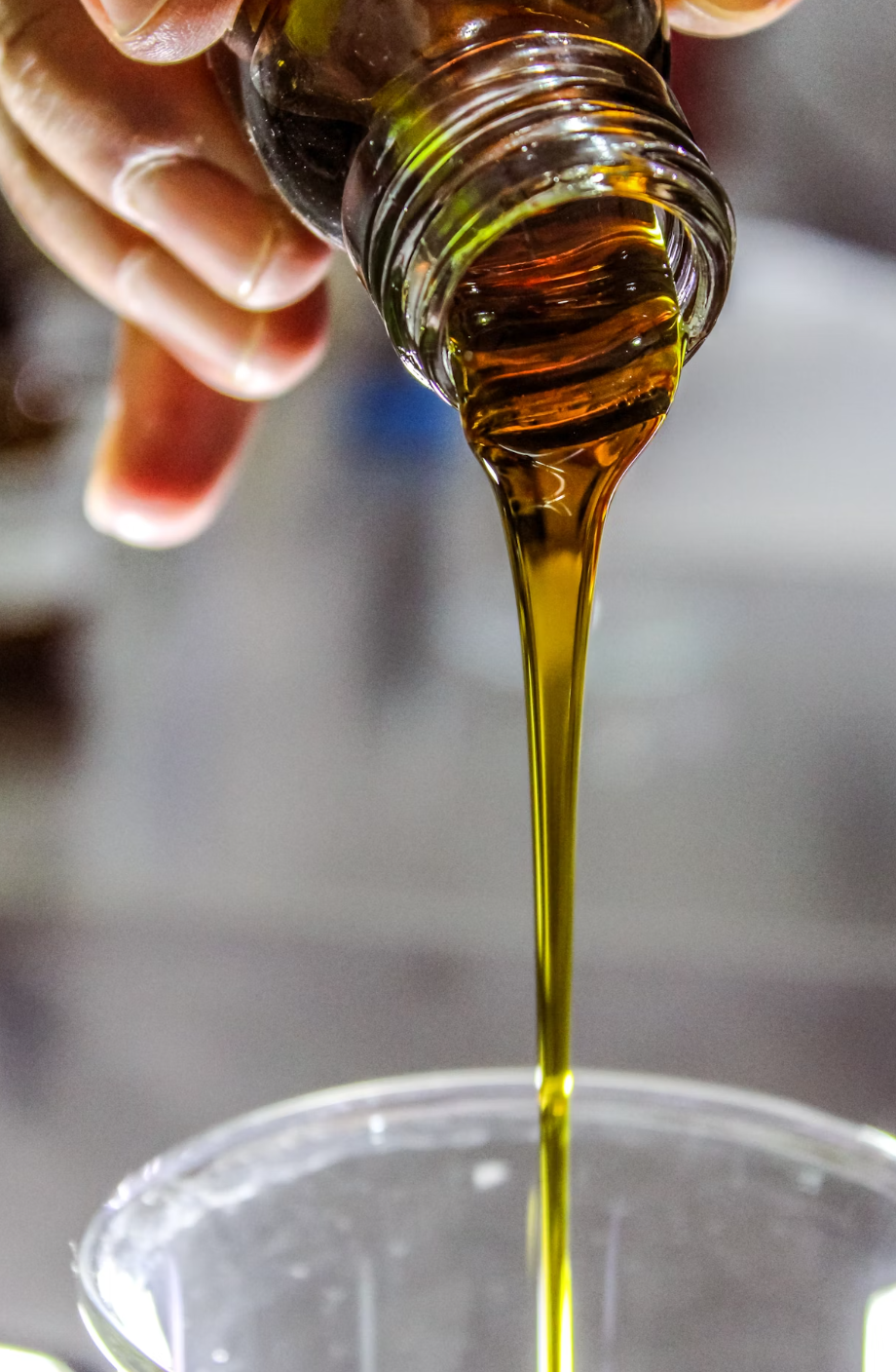 콜레스테롤 낮추는 음식 BEST 7 혈관 건강 지켜주는 습관