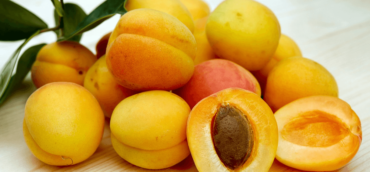 칼륨이 많은 음식 사진 - 8