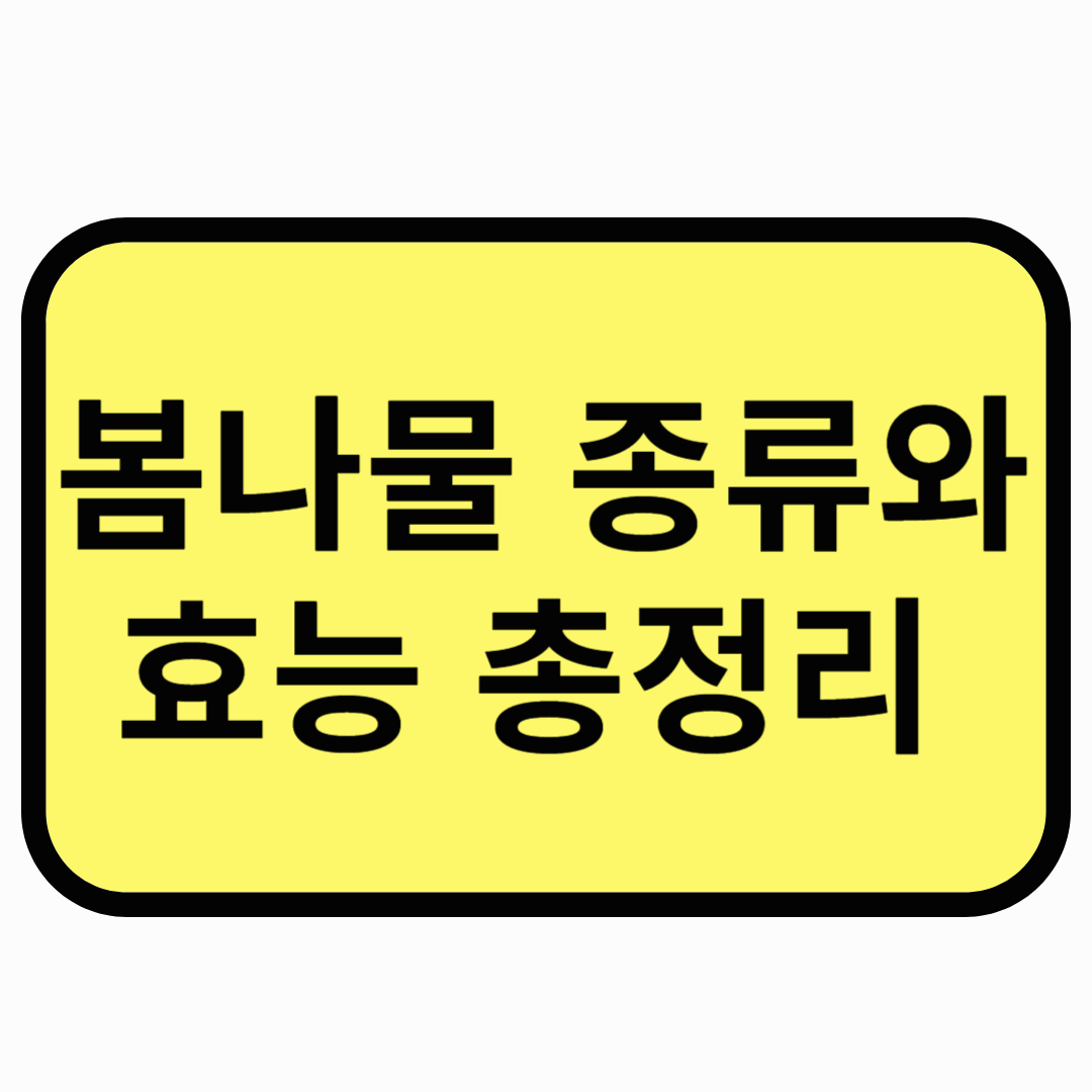 봄나물 종류와 효능 총정리