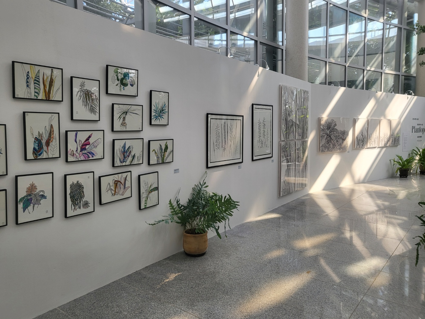 세종 아이와 가볼 만 한 곳 (세종수목원)