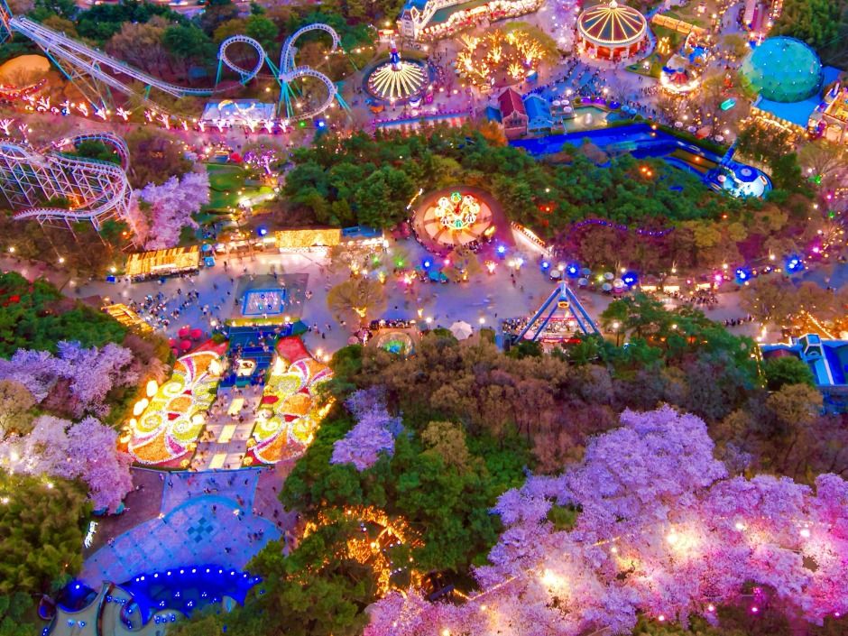 (대구) 2025 이월드 블라썸 피크닉