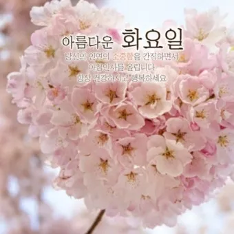 화요일 아침 인사말 좋은 글 9월 가을 이미지들_22