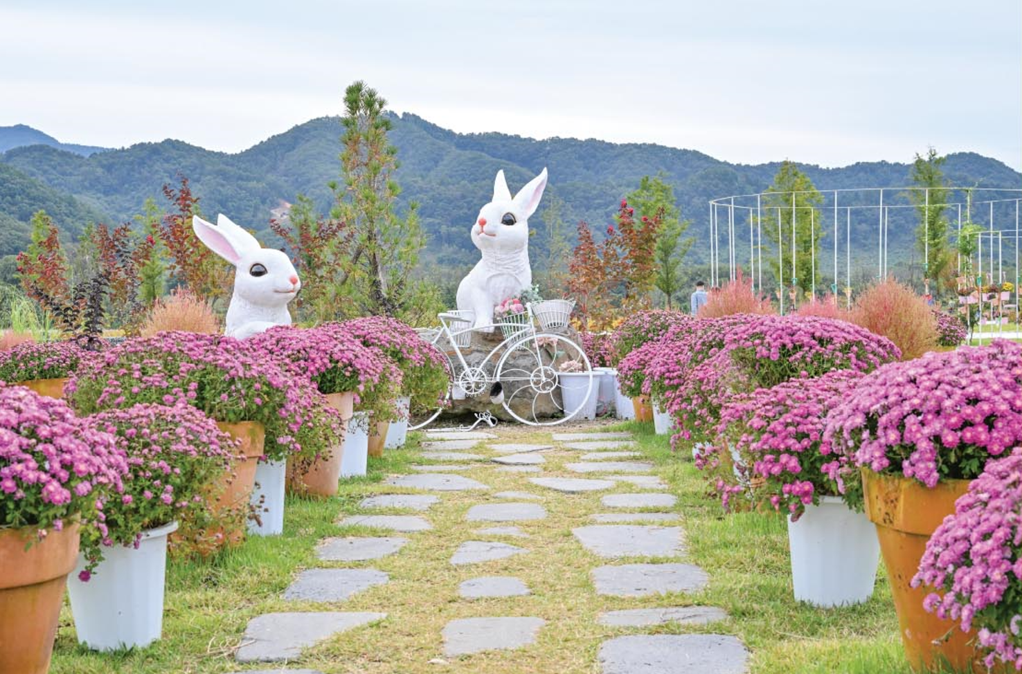 포천 한탄강 가든 페스타