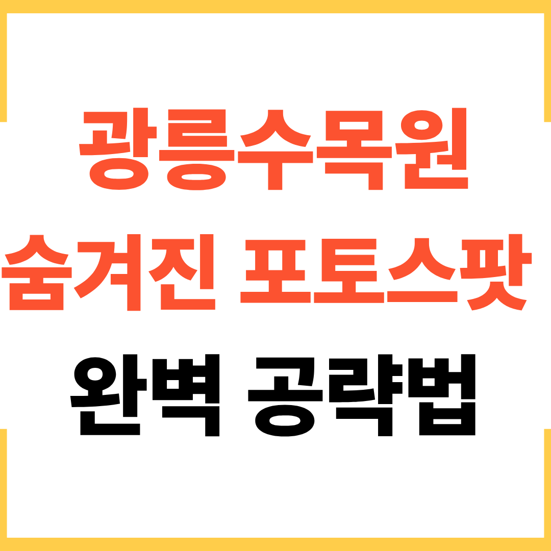 광릉수목원 숨겨진 포토스팟 완벽 공략법
