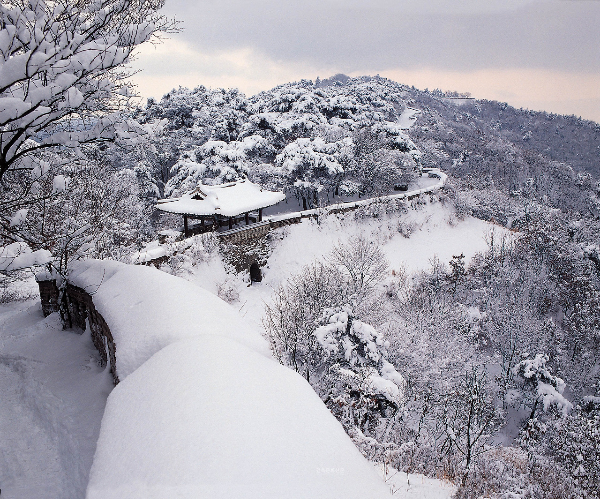서울·경기권 겨울에 걷기 좋은 숲길 & 트레킹 코스 BEST 7
