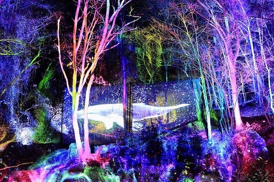 소나타 오브 라이트