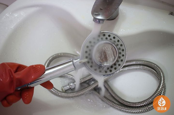 샤워기 청소