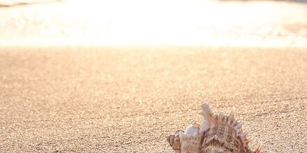 여름철건강관리