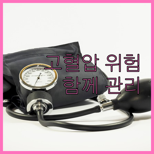 고혈압과 고지혈증 동반 시 위험, 통..